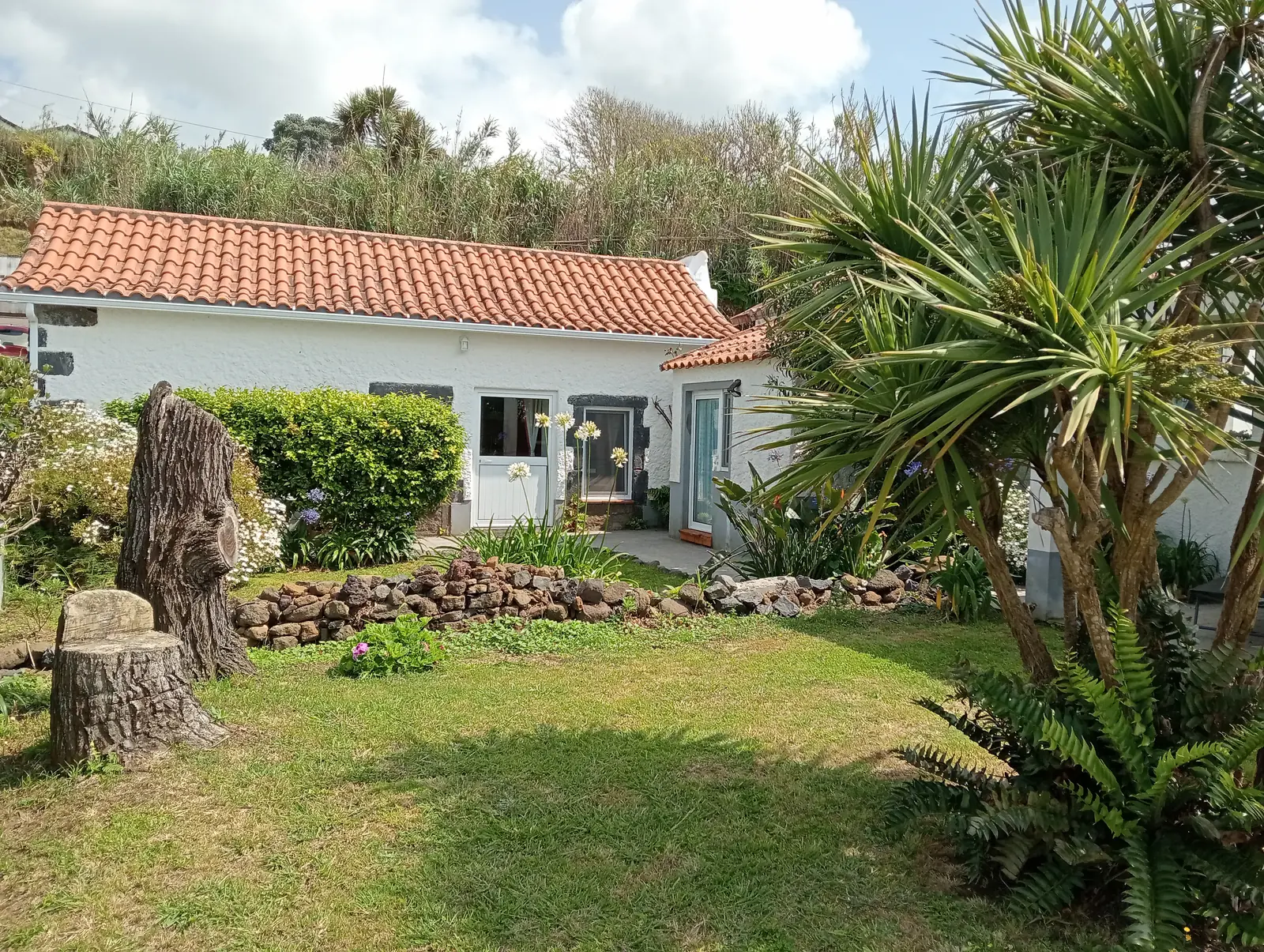 Casa Granada: Garten mit Palmen und weißem Haus