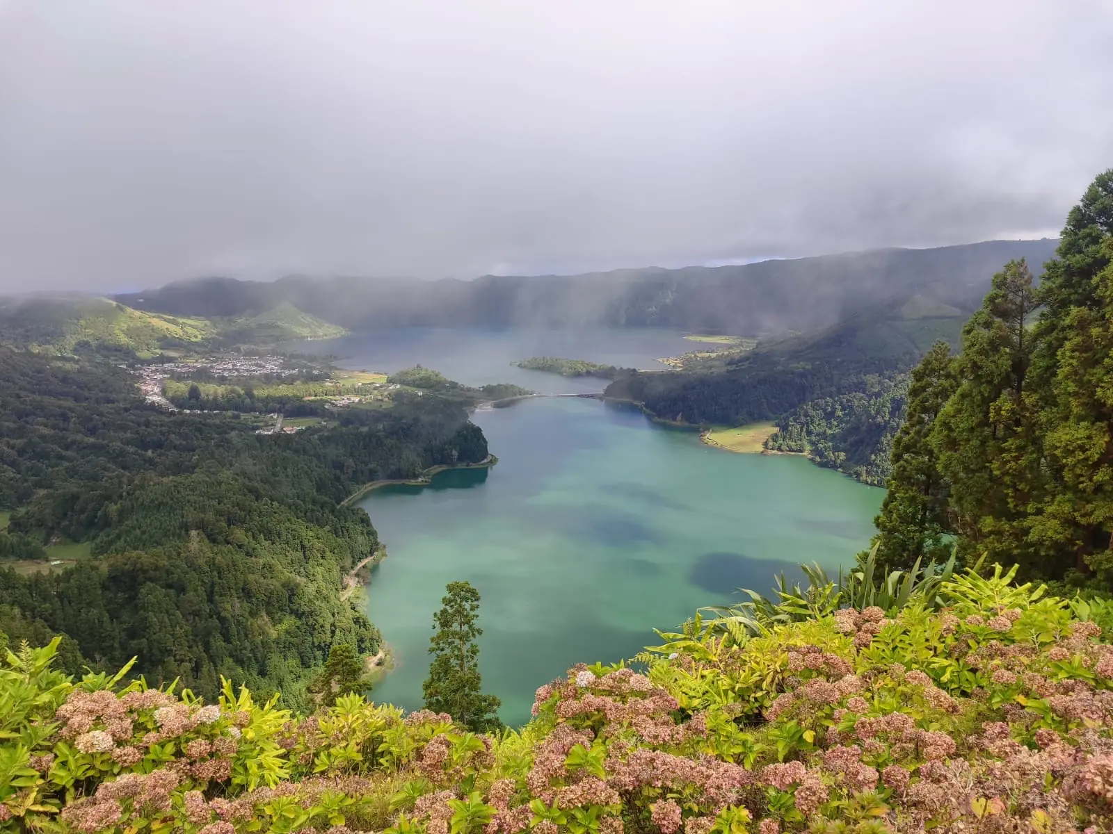 Kratersee im Nebel mit blühenden Sträuchern