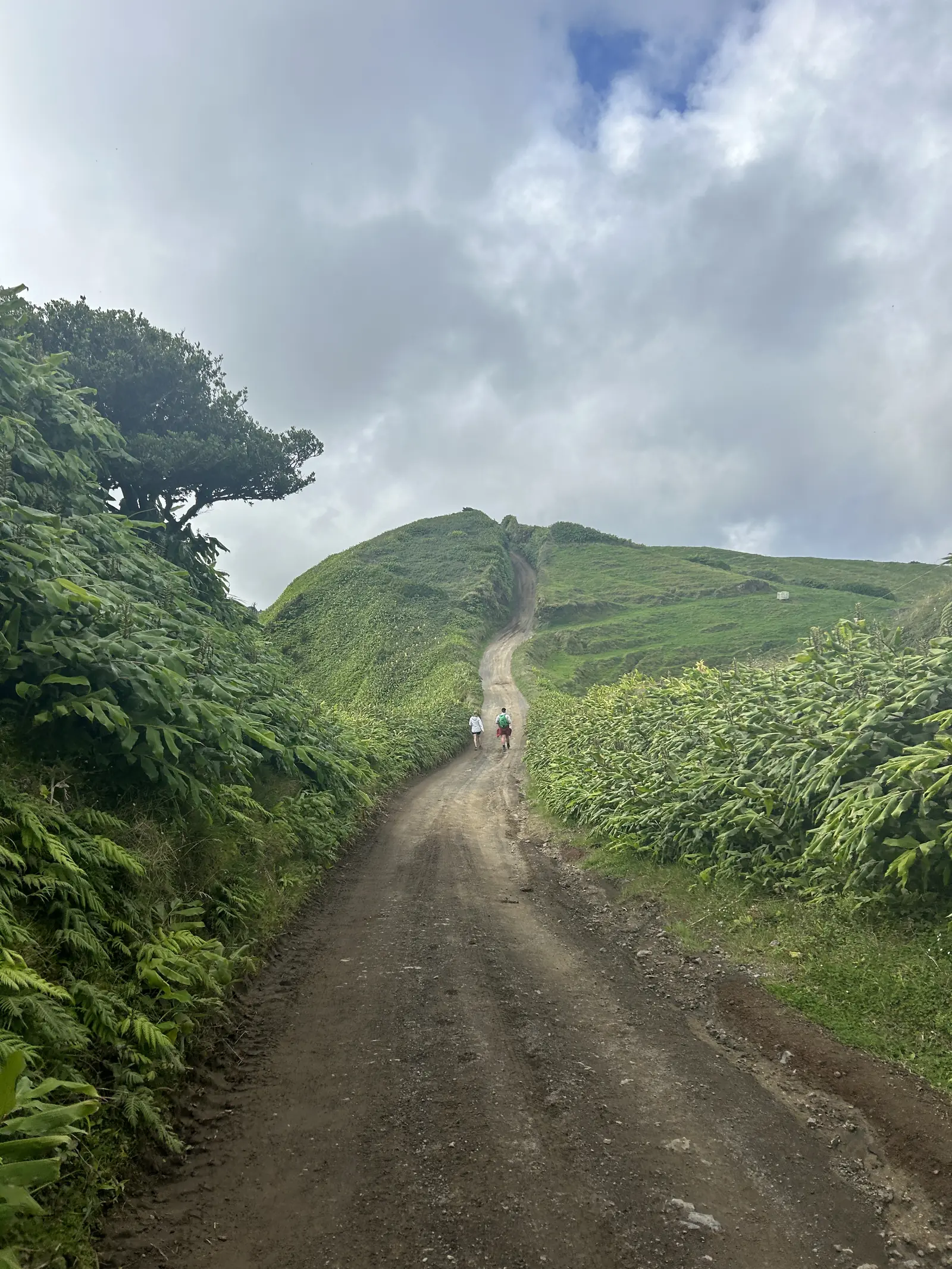 Breiter Wanderweg zwischen grünen Hügeln und Wolken