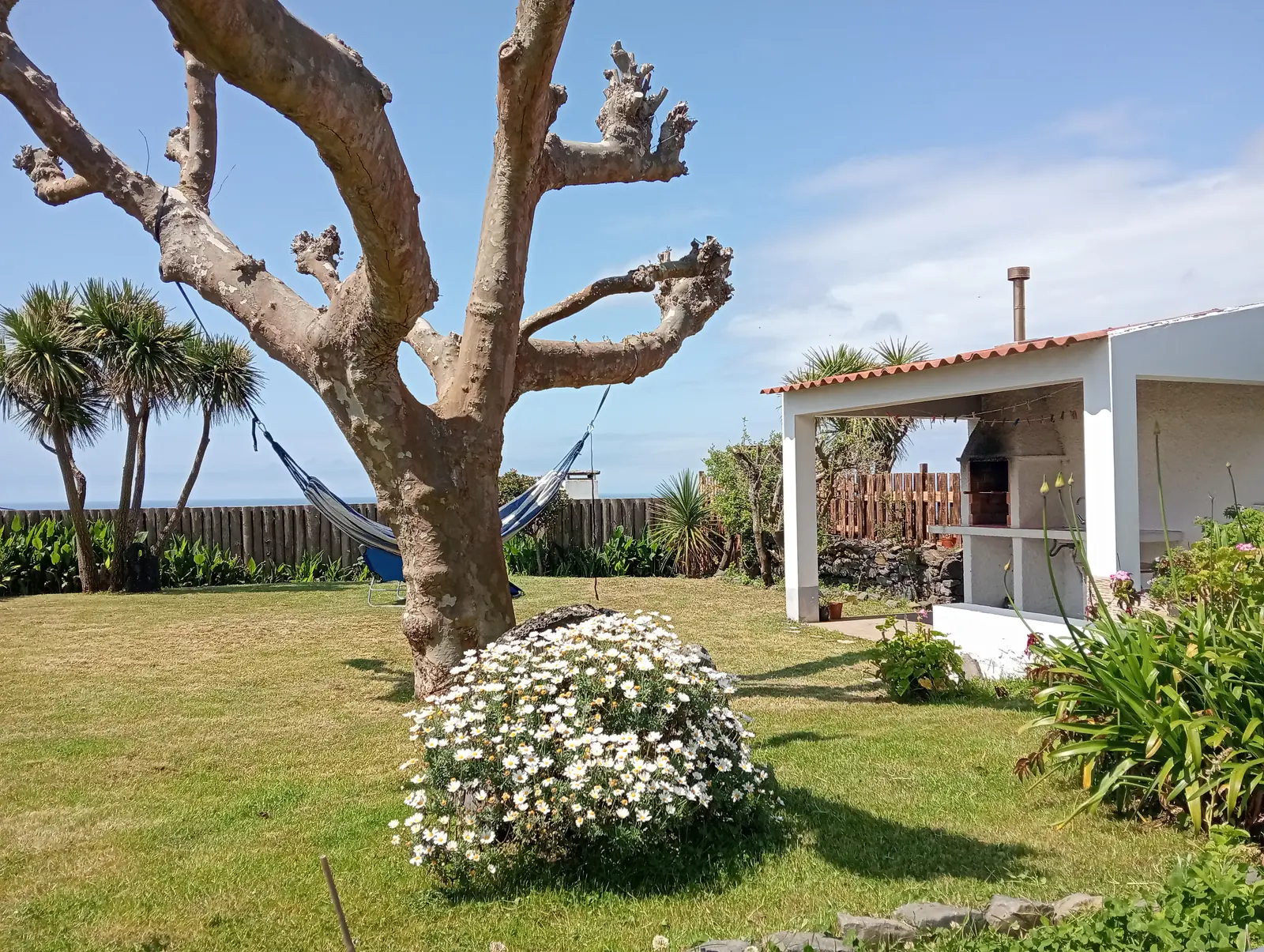 Garten mit altem Baum und überdachtem Grillplatz